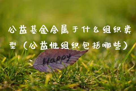 公益基金会属于什么组织类型（公益性组织包括哪些）_https://www.ltsssb.com_国际财经_第1张