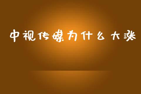 中视传媒为什么大涨_https://www.ltsssb.com_股市分析_第1张