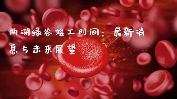 两湖绿谷竣工时间：最新消息与未来展望_https://www.ltsssb.com_期货密码_第1张