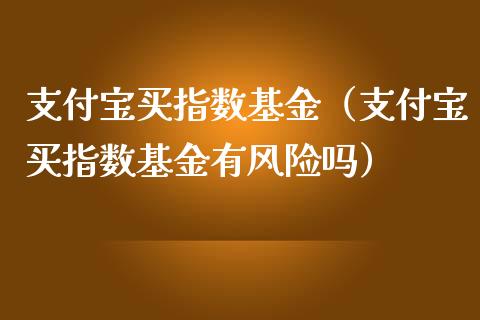 支付宝买指数基金（支付宝买指数基金有风险吗）_https://www.ltsssb.com_国际财经_第1张