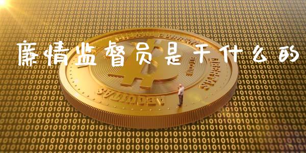 廉情监督员是干什么的_https://www.ltsssb.com_国际财经_第1张