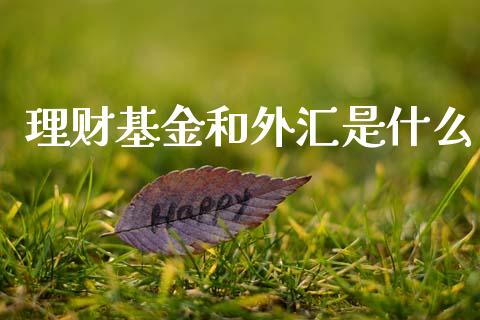 理财基金和外汇是什么_https://www.ltsssb.com_基金频道_第1张