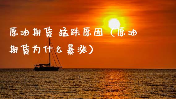 原油期货 猛跌原因（原油期货为什么暴涨）_https://www.ltsssb.com_期货密码_第1张