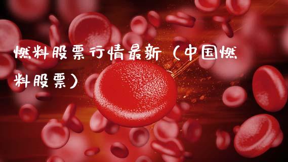 燃料股票行情最新（中国燃料股票）_https://www.ltsssb.com_新股数据_第1张