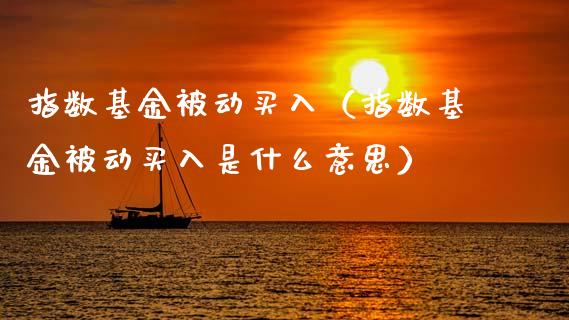指数基金被动买入（指数基金被动买入是什么意思）_https://www.ltsssb.com_国际财经_第1张