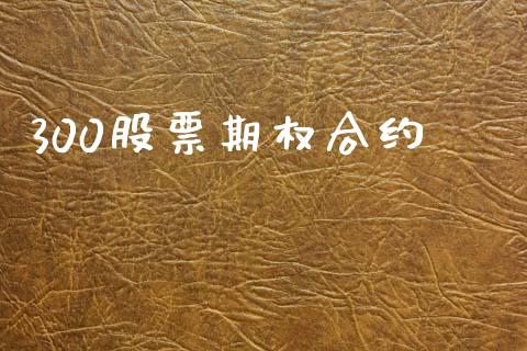 300股票期权合约_https://www.ltsssb.com_期货密码_第1张