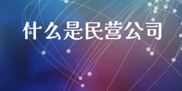 什么是民营公司_https://www.ltsssb.com_国际财经_第1张