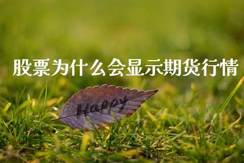 股票为什么会显示期货行情_https://www.ltsssb.com_期货密码_第1张