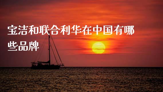 宝洁和联合利华在中国有哪些品牌_https://www.ltsssb.com_基金频道_第1张