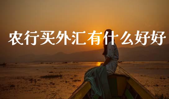 农行买外汇有什么好好_https://www.ltsssb.com_新股数据_第1张
