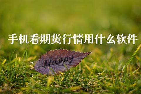 手机看期货行情用什么软件_https://www.ltsssb.com_期货在线_第1张