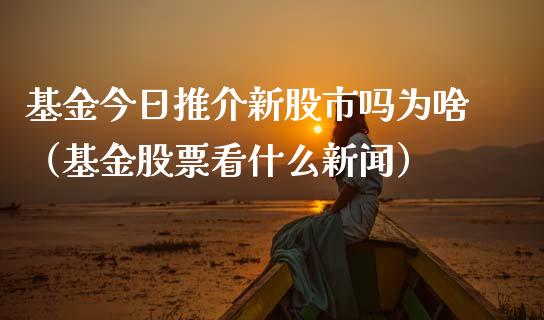 基金今日推介新股市吗为啥（基金股票看什么新闻）_https://www.ltsssb.com_基金频道_第1张