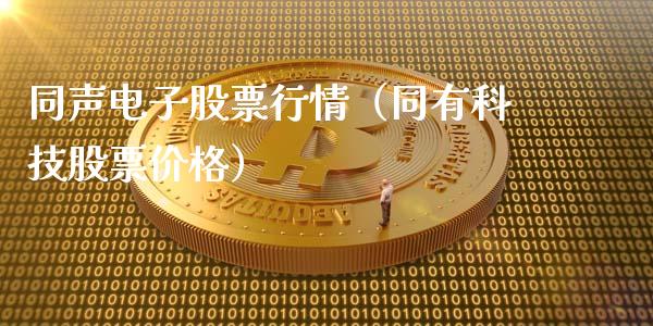 同声电子股票行情（同有科技股票价格）_https://www.ltsssb.com_股市分析_第1张