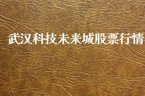 武汉科技未来城股票行情_https://www.ltsssb.com_新股数据_第1张