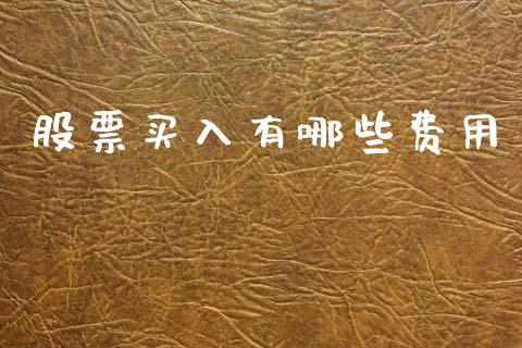 股票买入有哪些费用_https://www.ltsssb.com_国际财经_第1张