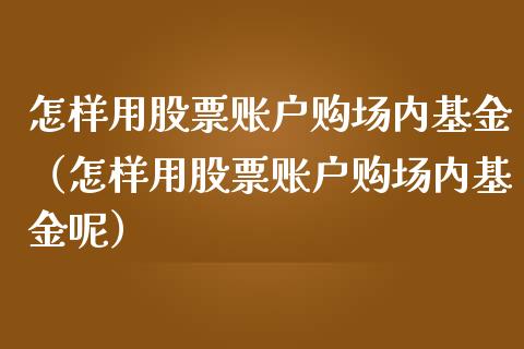 怎样用股票账户购场内基金（怎样用股票账户购场内基金呢）_https://www.ltsssb.com_基金频道_第1张