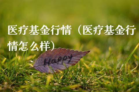 医疗基金行情（医疗基金行情怎么样）_https://www.ltsssb.com_基金频道_第1张