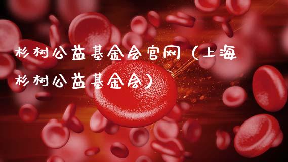 杉树公益基金会官网（上海杉树公益基金会）_https://www.ltsssb.com_国际财经_第1张