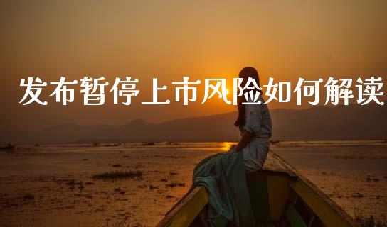 发布暂停上市风险如何解读_https://www.ltsssb.com_基金频道_第1张