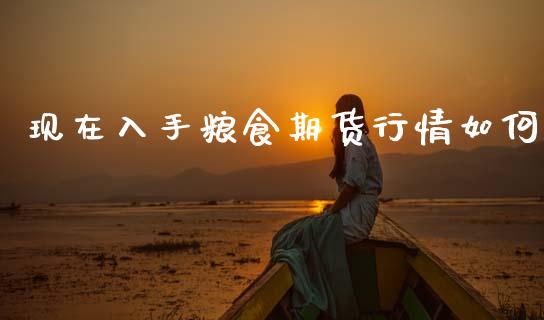 现在入手粮食期货行情如何_https://www.ltsssb.com_期货在线_第1张
