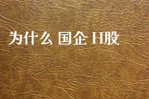为什么 国企 H股_https://www.ltsssb.com_期货密码_第1张