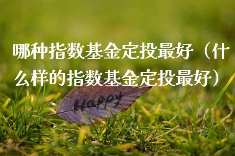 哪种指数基金定投最好（什么样的指数基金定投最好）_https://www.ltsssb.com_国际财经_第1张