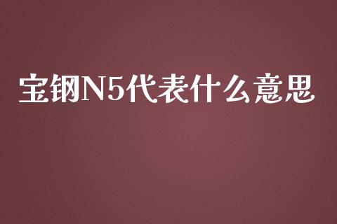 宝钢N5代表什么意思_https://www.ltsssb.com_基金频道_第1张
