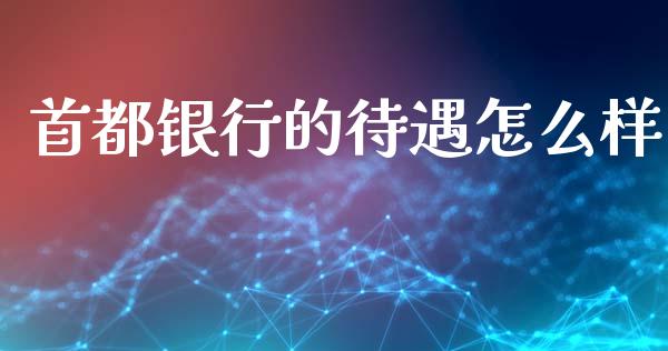 首都银行的待遇怎么样_https://www.ltsssb.com_期货密码_第1张