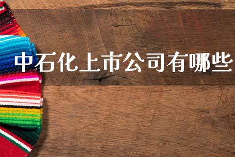 中石化上市公司有哪些_https://www.ltsssb.com_期货密码_第1张