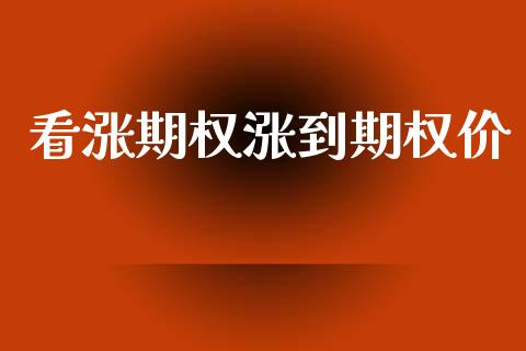看涨期权涨到期权价_https://www.ltsssb.com_期货在线_第1张