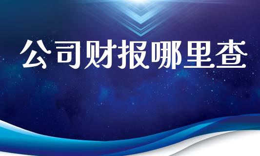 公司财报哪里查_https://www.ltsssb.com_新股数据_第1张
