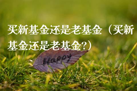 买新基金还是老基金（买新基金还是老基金?）_https://www.ltsssb.com_基金频道_第1张