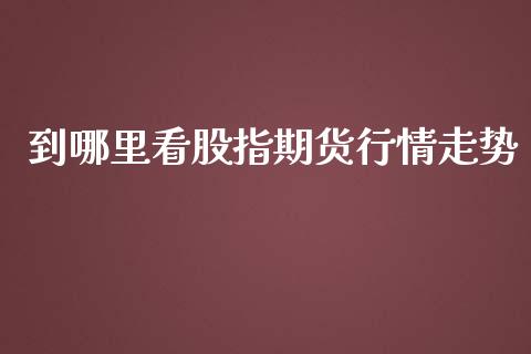 到哪里看股指期货行情走势_https://www.ltsssb.com_期货在线_第1张