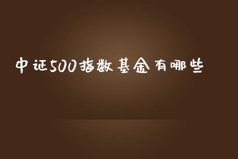 中证500指数基金有哪些_https://www.ltsssb.com_国际财经_第1张