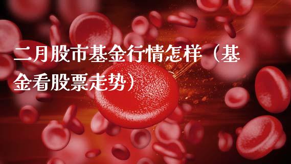 二月股市基金行情怎样（基金看股票走势）_https://www.ltsssb.com_基金频道_第1张