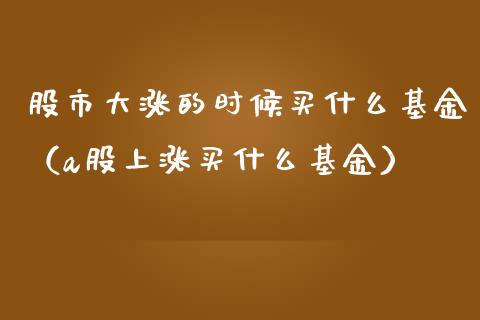 股市大涨的时候买什么基金（a股上涨买什么基金）_https://www.ltsssb.com_国际财经_第1张