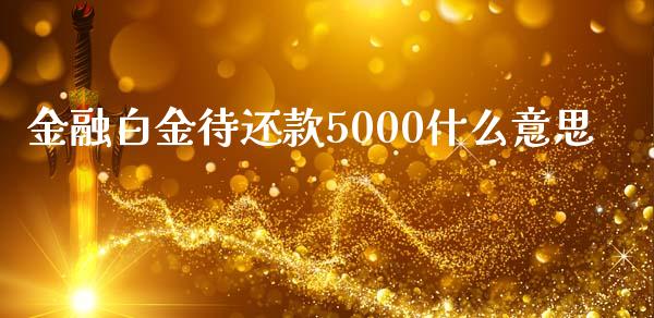 金融白金待还款5000什么意思_https://www.ltsssb.com_期货在线_第1张