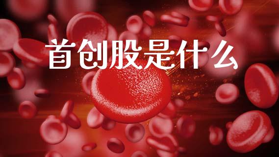 首创股是什么_https://www.ltsssb.com_股市分析_第1张