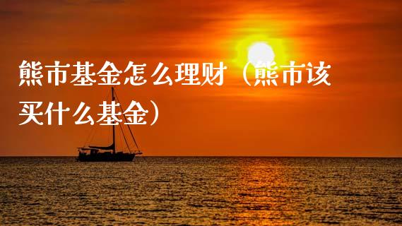 熊市基金怎么理财（熊市该买什么基金）_https://www.ltsssb.com_基金频道_第1张