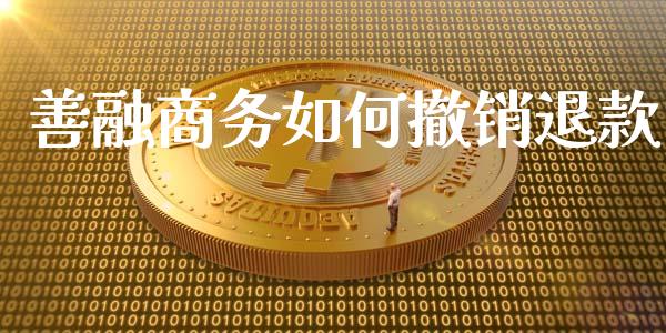 善融商务如何撤销退款_https://www.ltsssb.com_期货密码_第1张