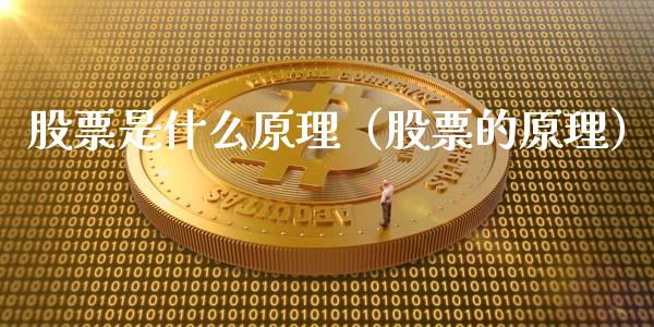 股票是什么原理（股票的原理）_https://www.ltsssb.com_新股数据_第1张