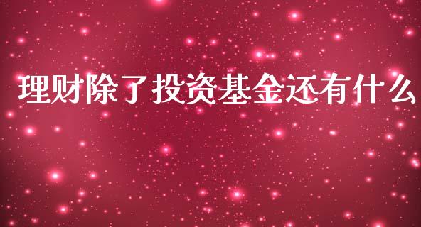 理财除了投资基金还有什么_https://www.ltsssb.com_基金频道_第1张