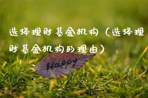 选择理财基金机构（选择理财基金机构的理由）_https://www.ltsssb.com_基金频道_第1张
