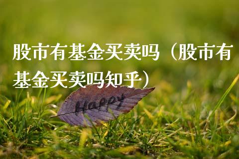 股市有基金买卖吗（股市有基金买卖吗知乎）_https://www.ltsssb.com_国际财经_第1张