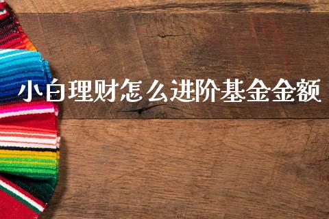 小白理财怎么进阶基金金额_https://www.ltsssb.com_基金频道_第1张