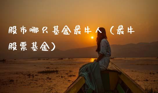 股市哪只基金最牛人（最牛股票基金）_https://www.ltsssb.com_基金频道_第1张