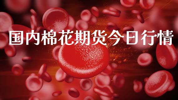 国内棉花期货今日行情_https://www.ltsssb.com_期货在线_第1张