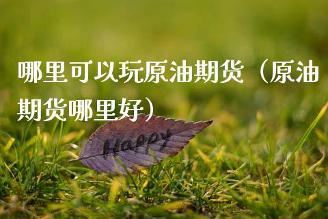 哪里可以玩原油期货（原油期货哪里好）_https://www.ltsssb.com_期货行情_第1张