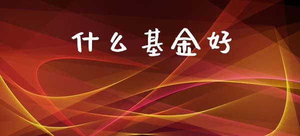 什么基金好_https://www.ltsssb.com_期货在线_第1张