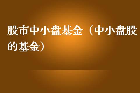 股市中小盘基金（中小盘股的基金）_https://www.ltsssb.com_国际财经_第1张